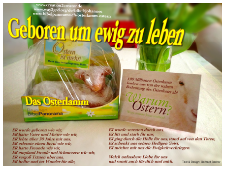 osterlamm-statt-osterhase.png