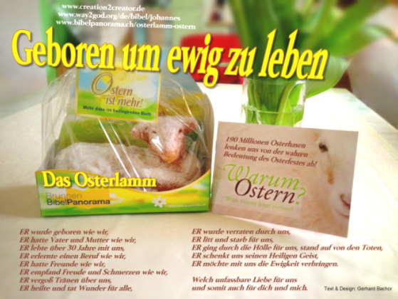 osterlamm-statt-osterhase.png